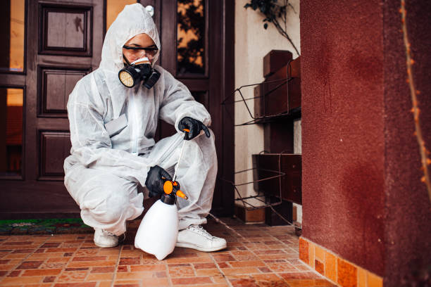 Reliable Ant Control contractor in Shinnston, WV by Nex Pest Control