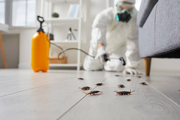 Trusted Termite Control service in Shinnston, WV - Nex Pest Control