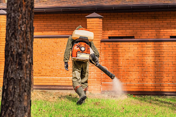 Trusted Mosquito Control service in Shinnston, WV - Nex Pest Control